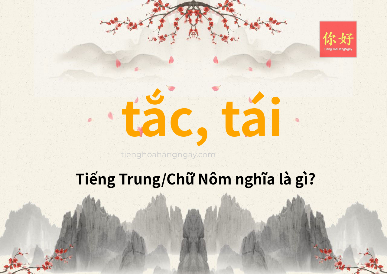 tắc, tái tiếng Trung là gì?